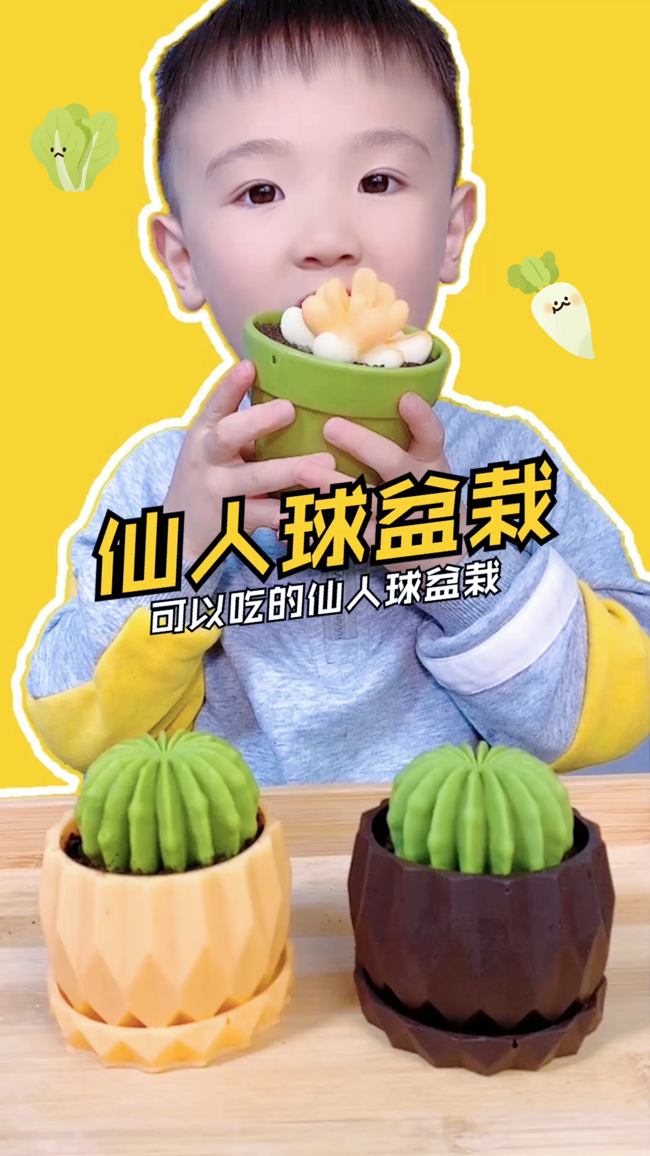 #美食#可以吃的仙人球盆栽，你有没有见过呢？