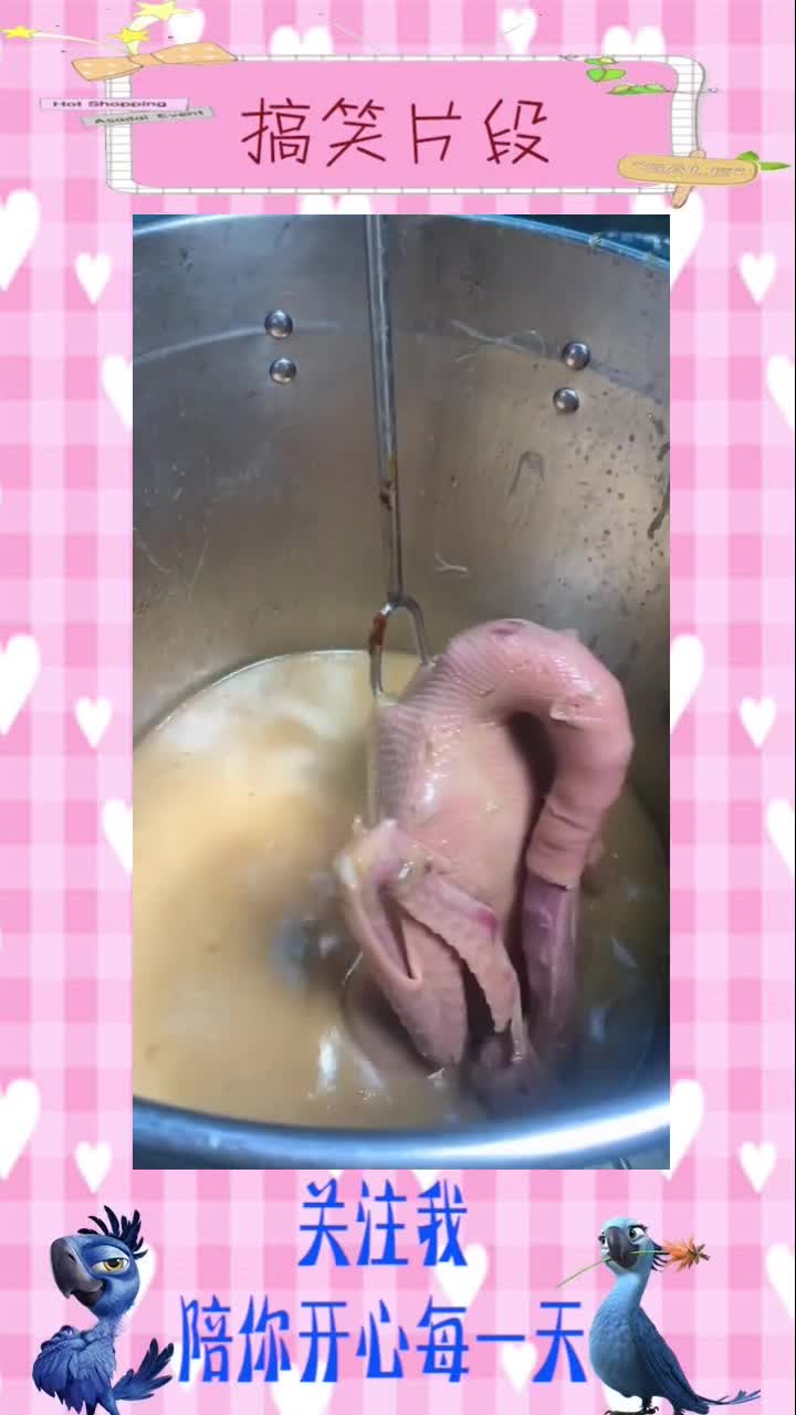 盐水鹅手法一绝,值得拥有,搞笑视频