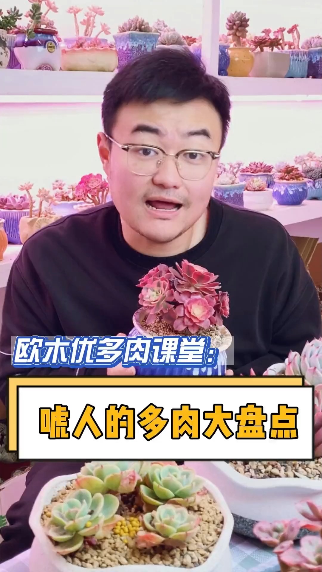 哪些多肉非常唬人,好看不好养容易出问题的?这个视频告诉你#多肉#多肉植物#