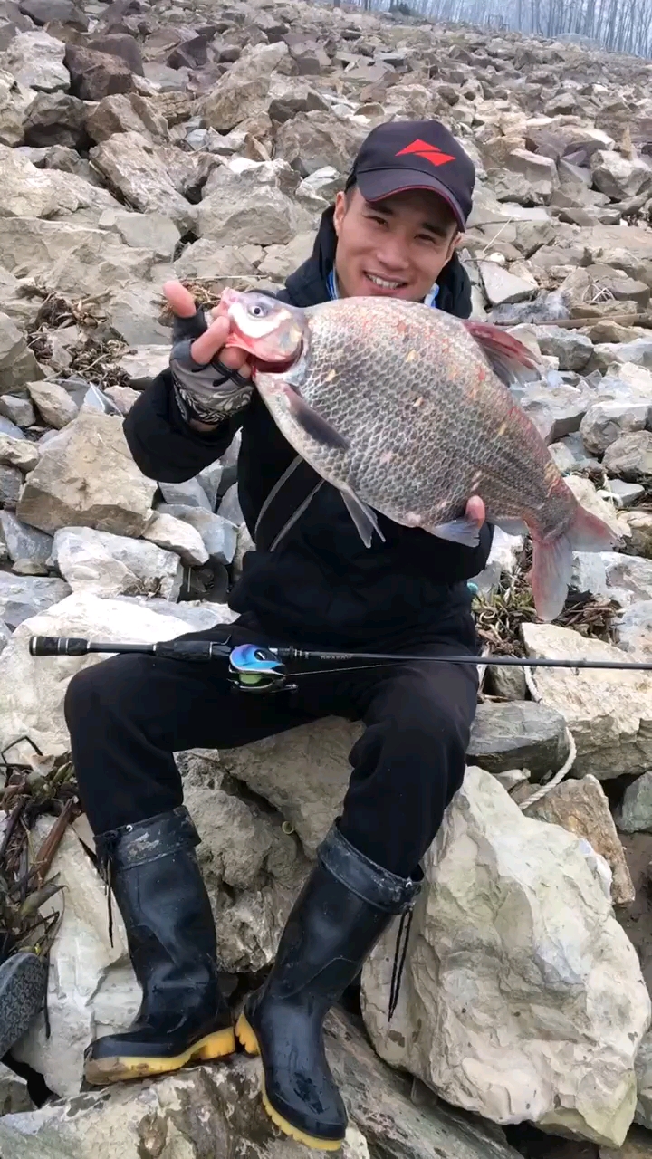 锅盖一样的鱼了解一下