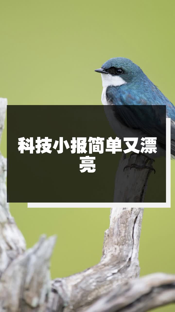 科技小报简单又漂亮