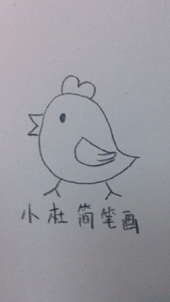 @全民小助手可爱的小公鸡简笔画,快来跟我一起画吧