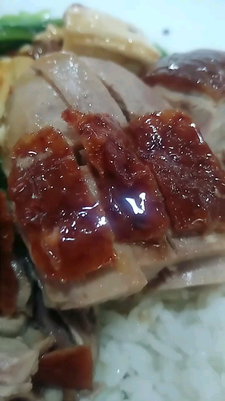 广东烧鸭饭