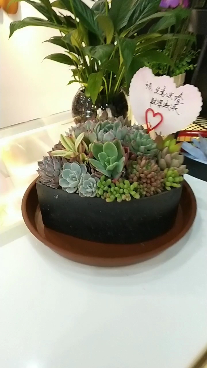 奶茶店开业了    