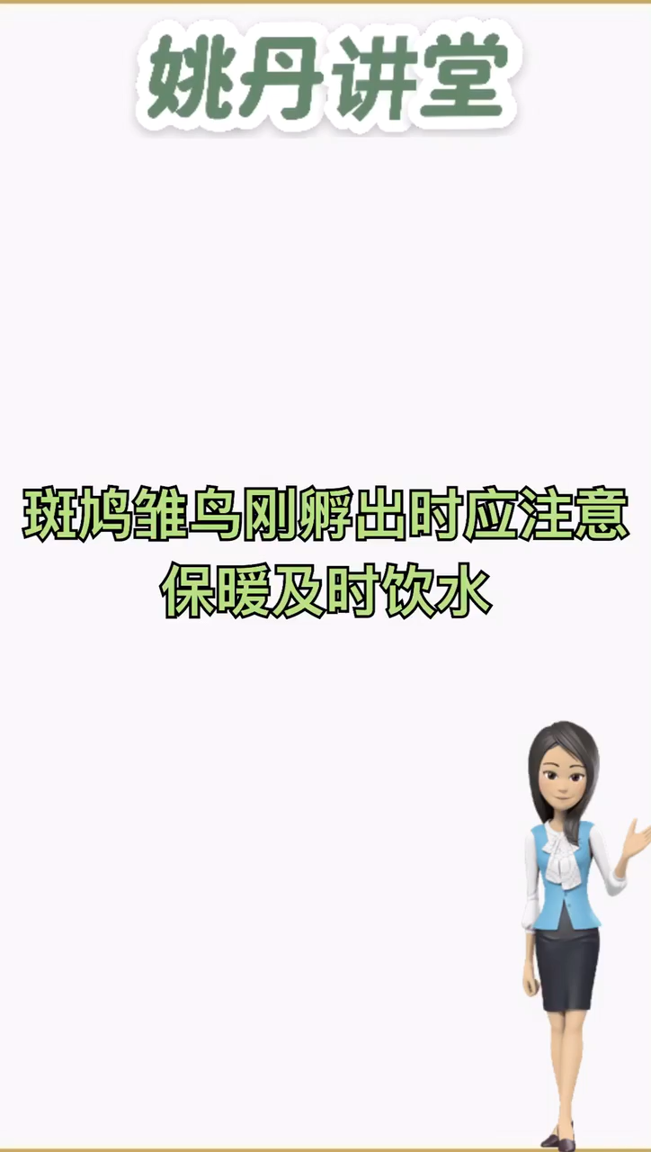 斑鸠幼鸟怎么喂养