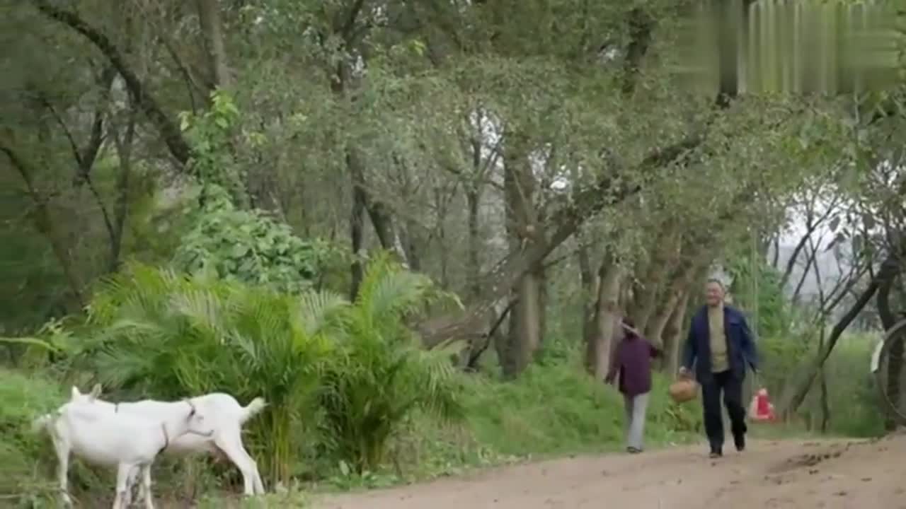 岁年柿红:牛旺生个大胖小子,村支书家喜糖红鸡蛋管够,这大喜事