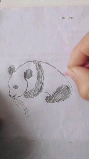 可爱的猫熊吃竹子