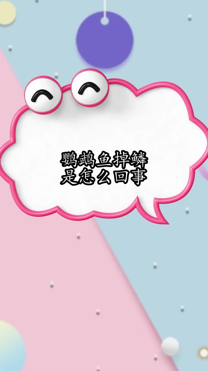 鹦鹉鱼掉鳞是怎么回事,你清楚了吗