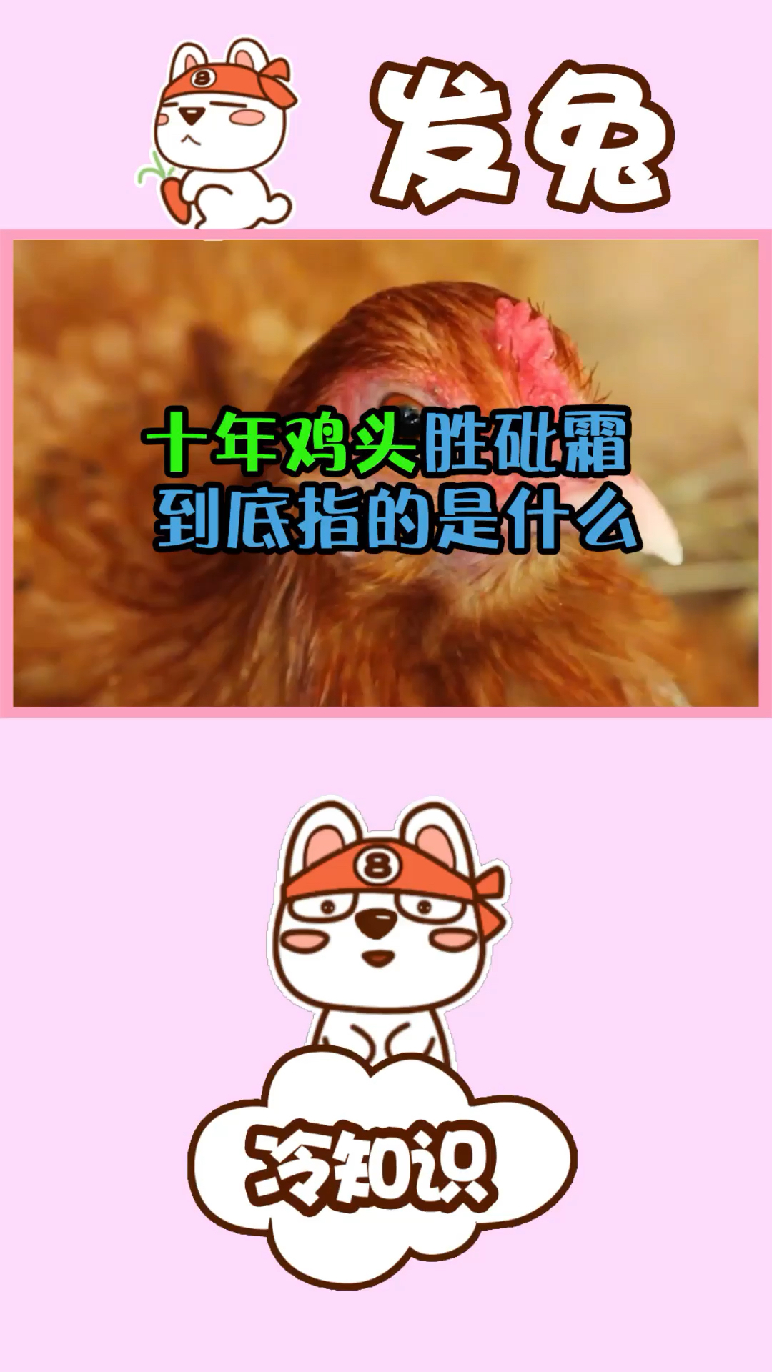 农村老人常说“十年鸡头胜砒霜”,到底指的是什么?