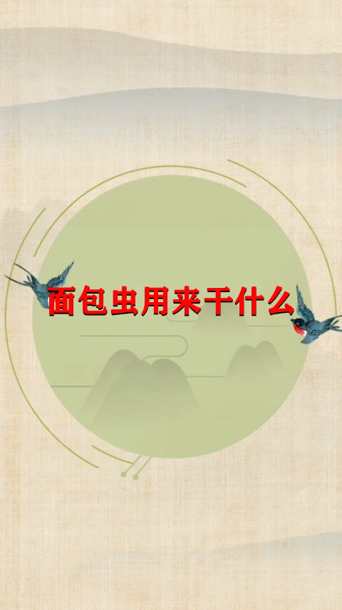 面包虫用来干什么