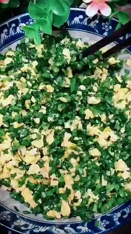 看了就会的水晶饺子的做法