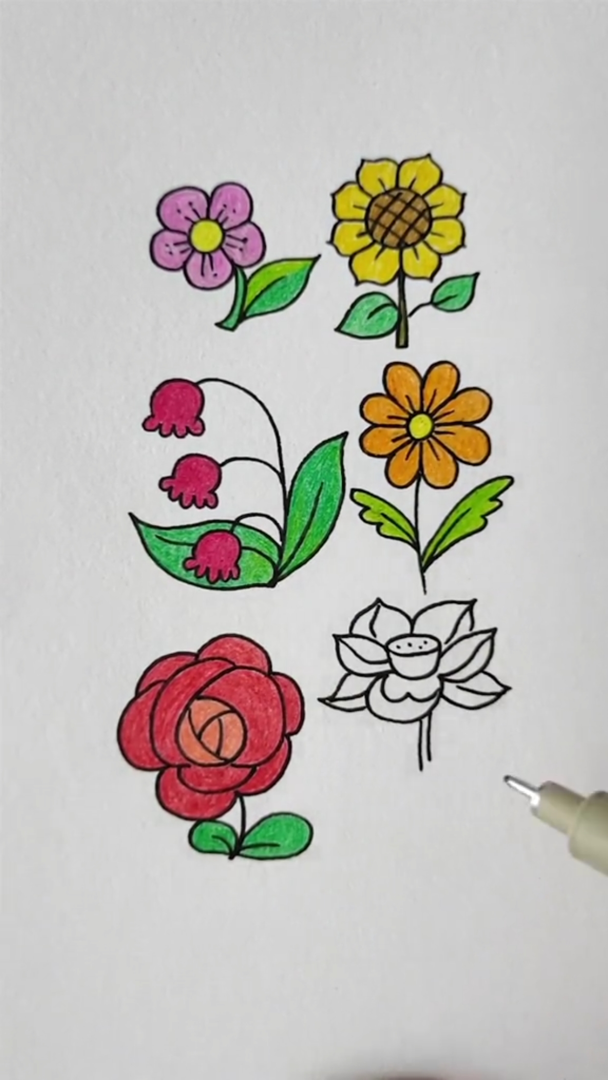 #创意简笔画#各种不同的花喜欢吗