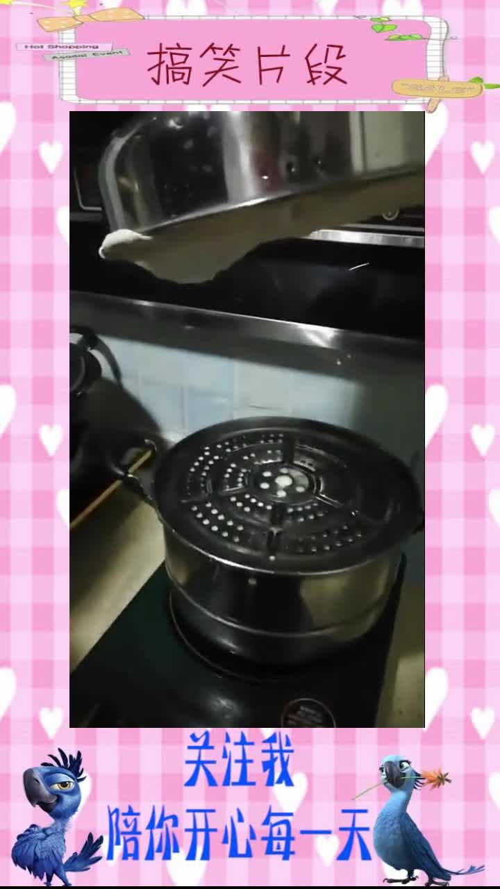 女朋友说要给我蒸馒头,好不容易等到开锅,就没看见漫天!,搞笑视频
