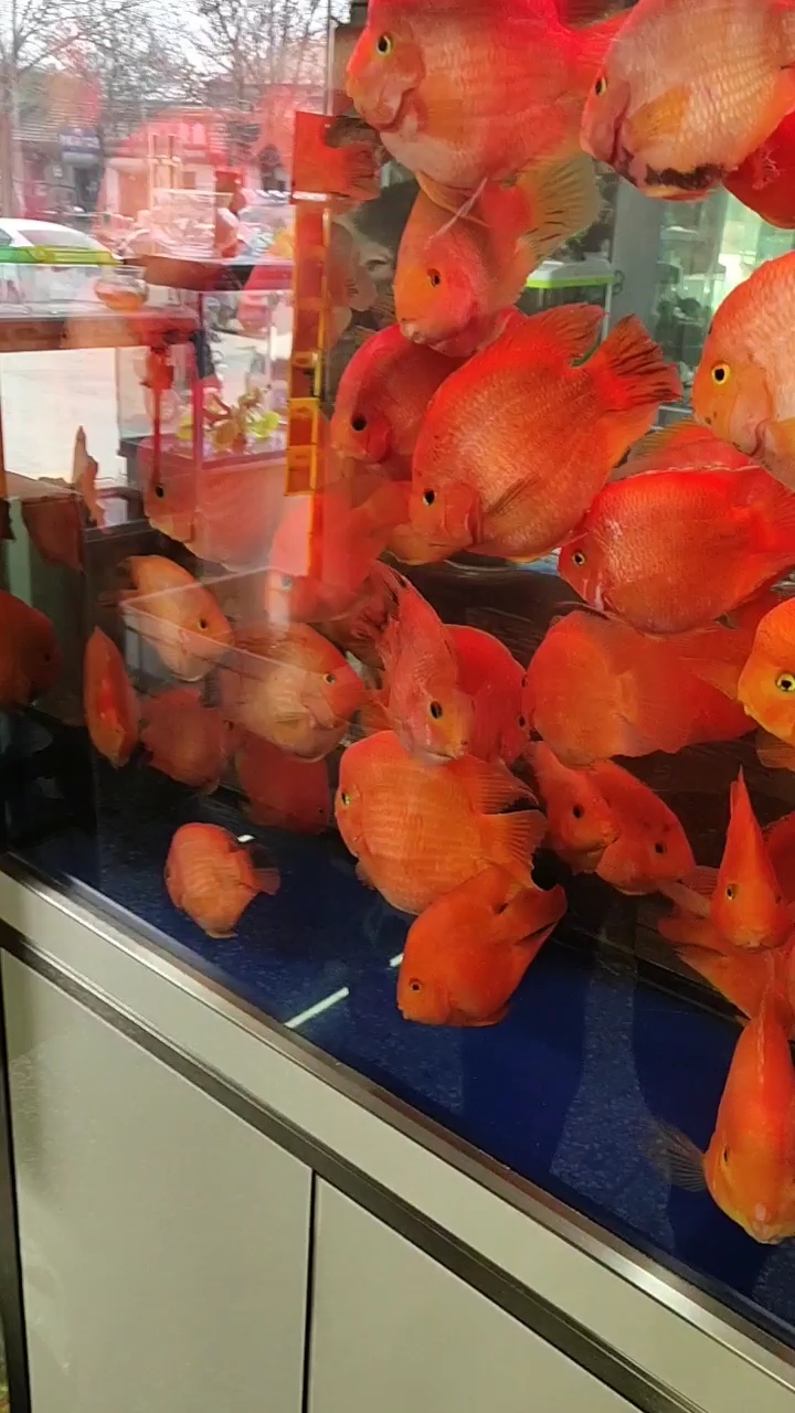 分享视频