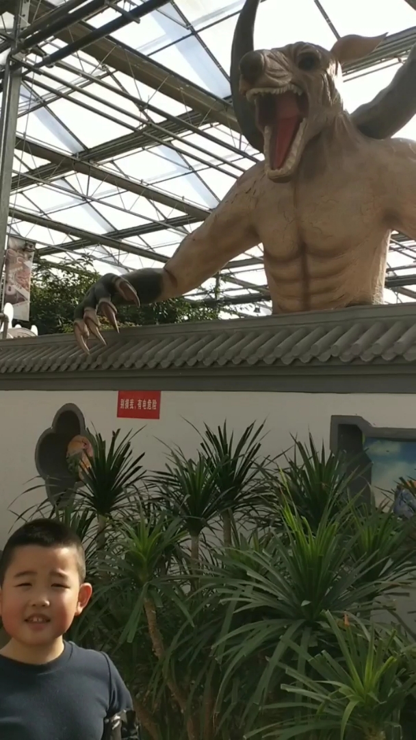 讲的是什么,听的明白吗?