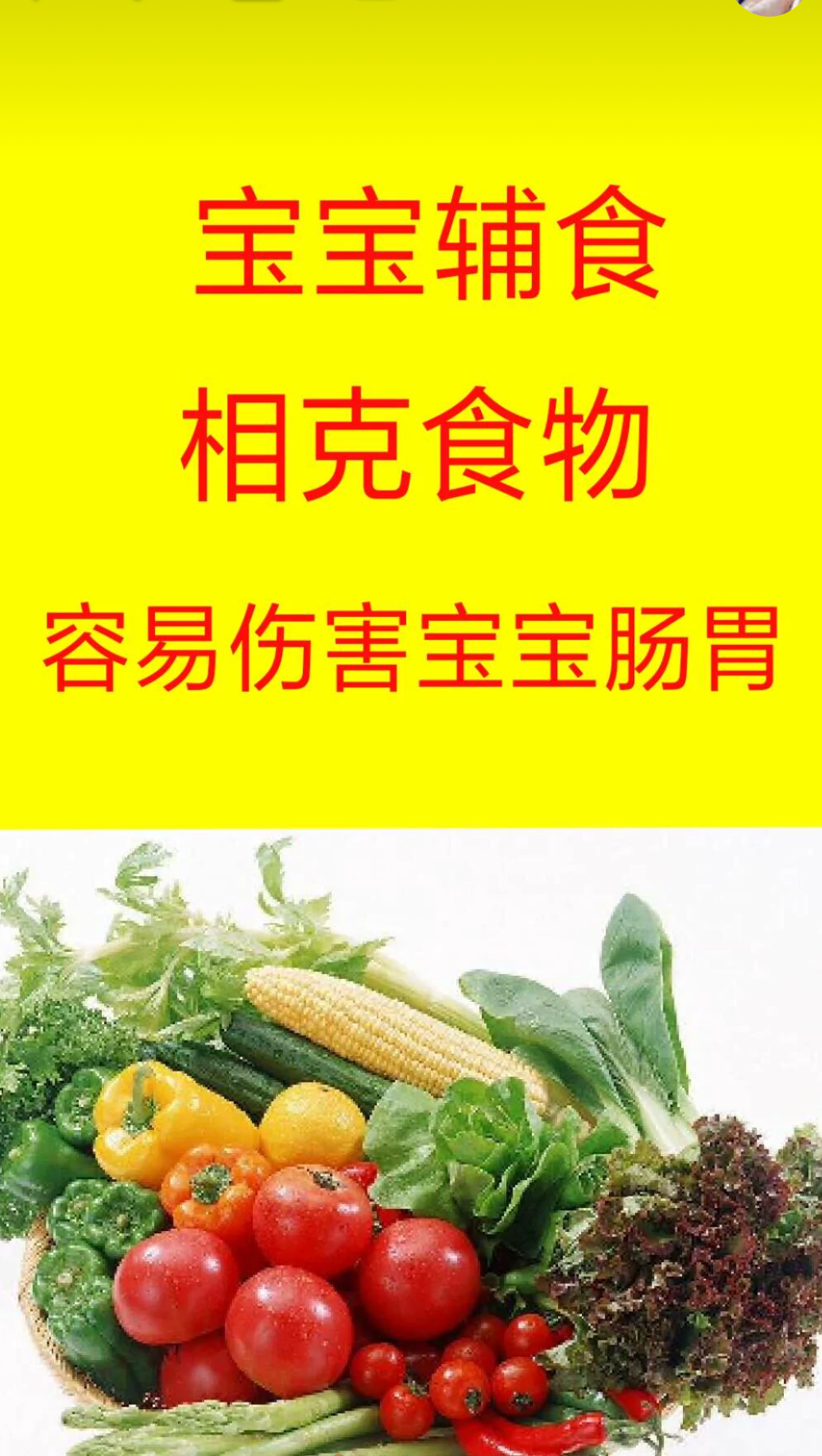 @浅小蓝