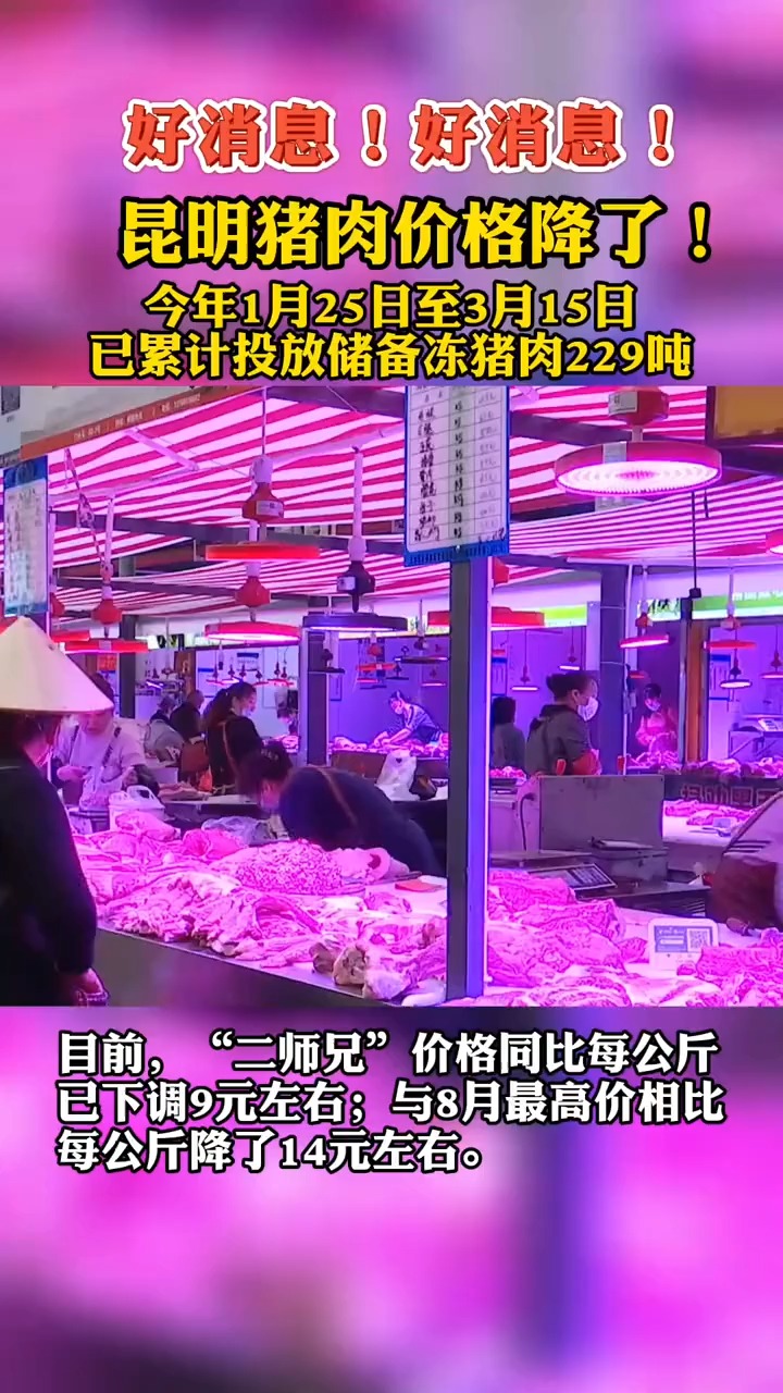#猪肉#“二师兄”坐“滑梯”,昆明猪肉降价了,累计投放储备冻猪肉229吨!红烧肉安排上!