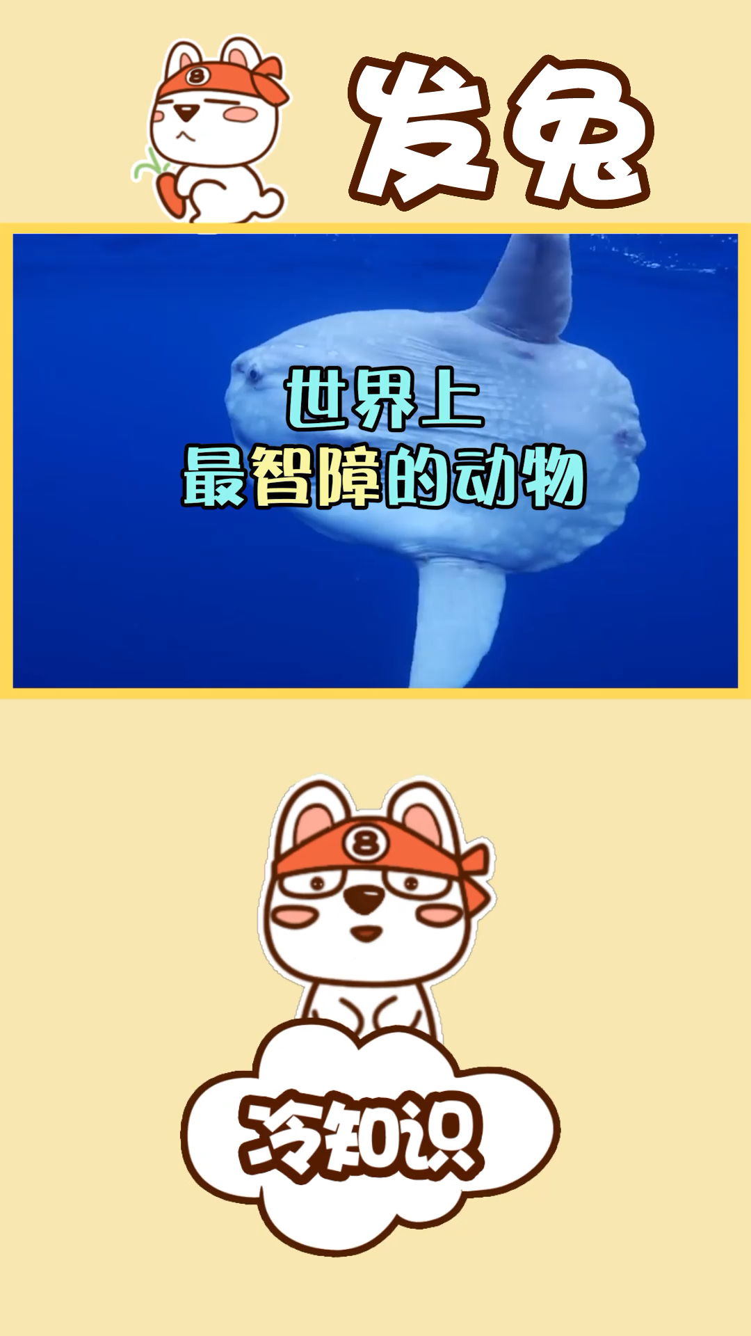 傻鱼有傻福?被吃了一半还反应不过来的鱼,你见过吗?