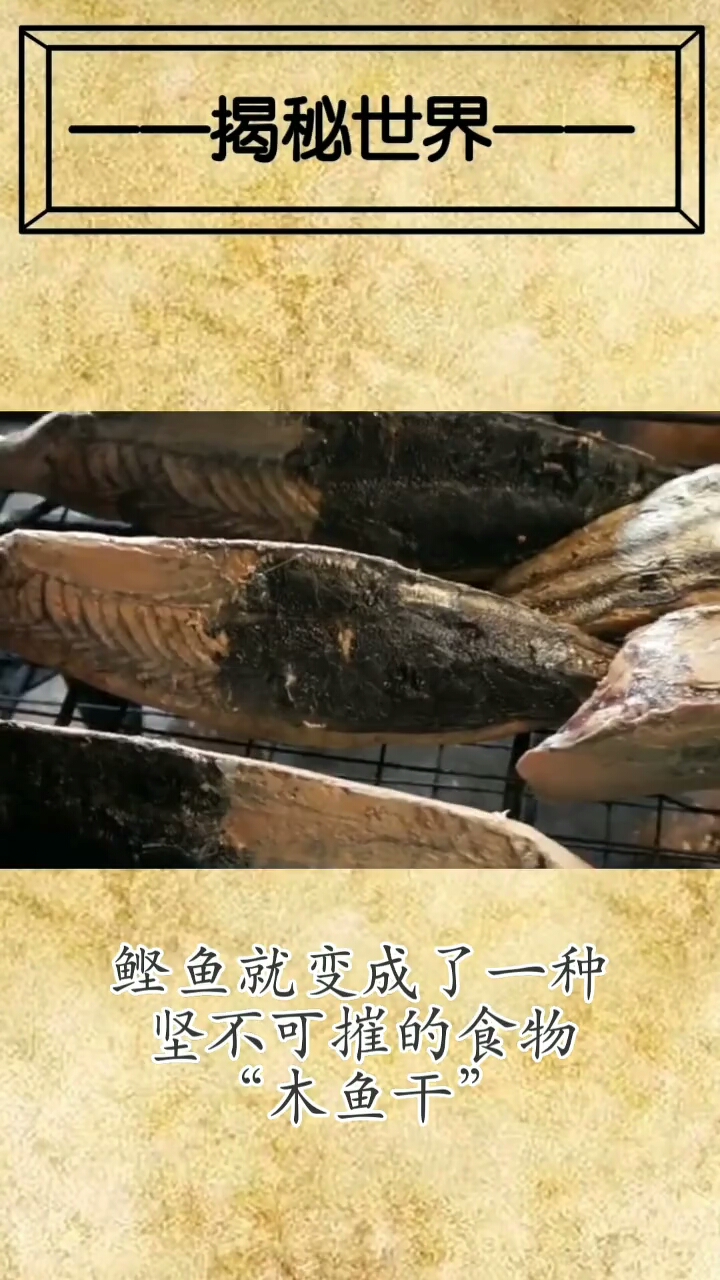 揭秘世界一。鲣鱼就变成了一种坚不可摧的食物木鱼干”
