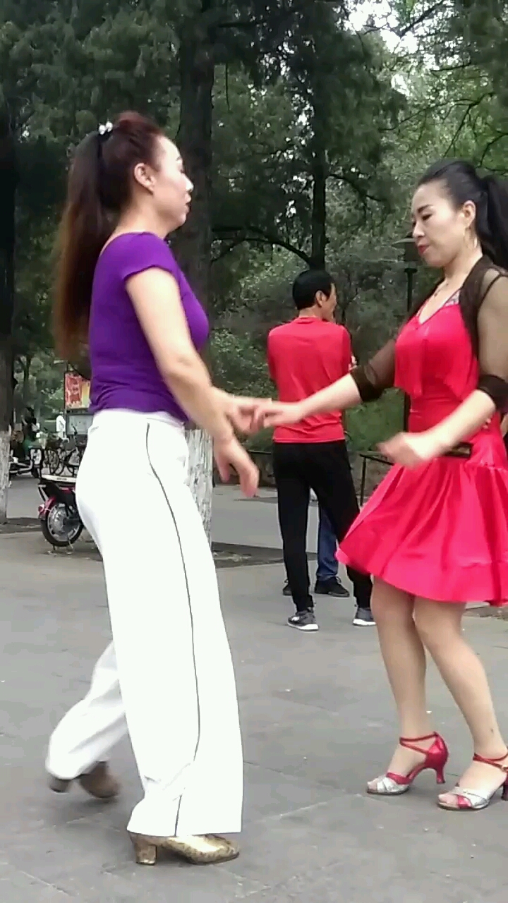 研究卷心菜花样