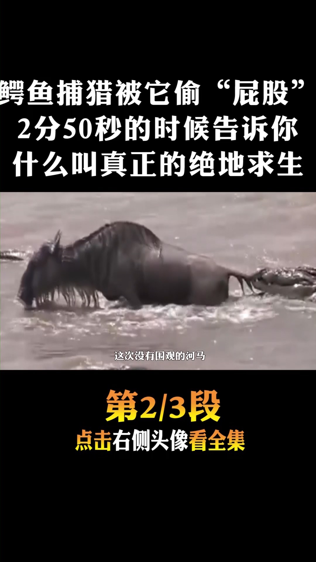 #动物世界#鳄鱼捕猎却被偷屁股,看到最后,告诉你什么事绝地求生