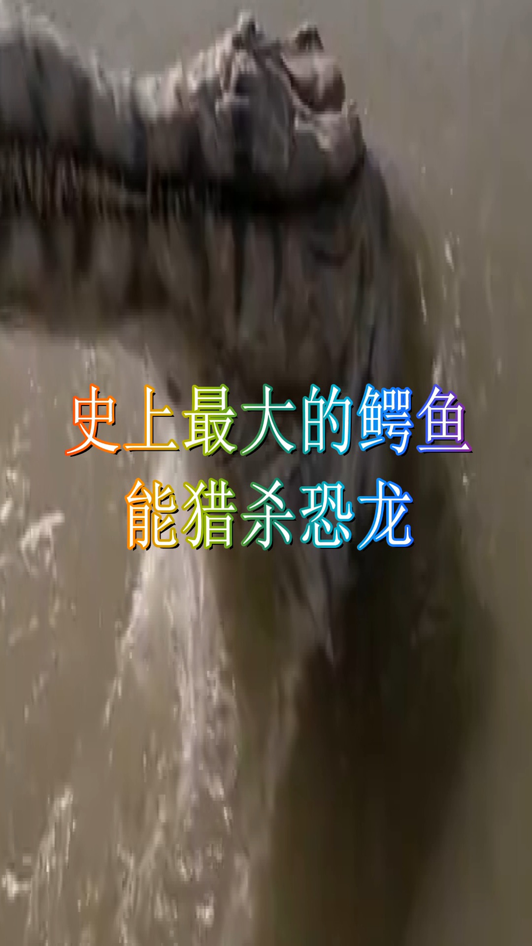 #奇趣#史上,最大的鳄鱼,能猎杀恐龙。