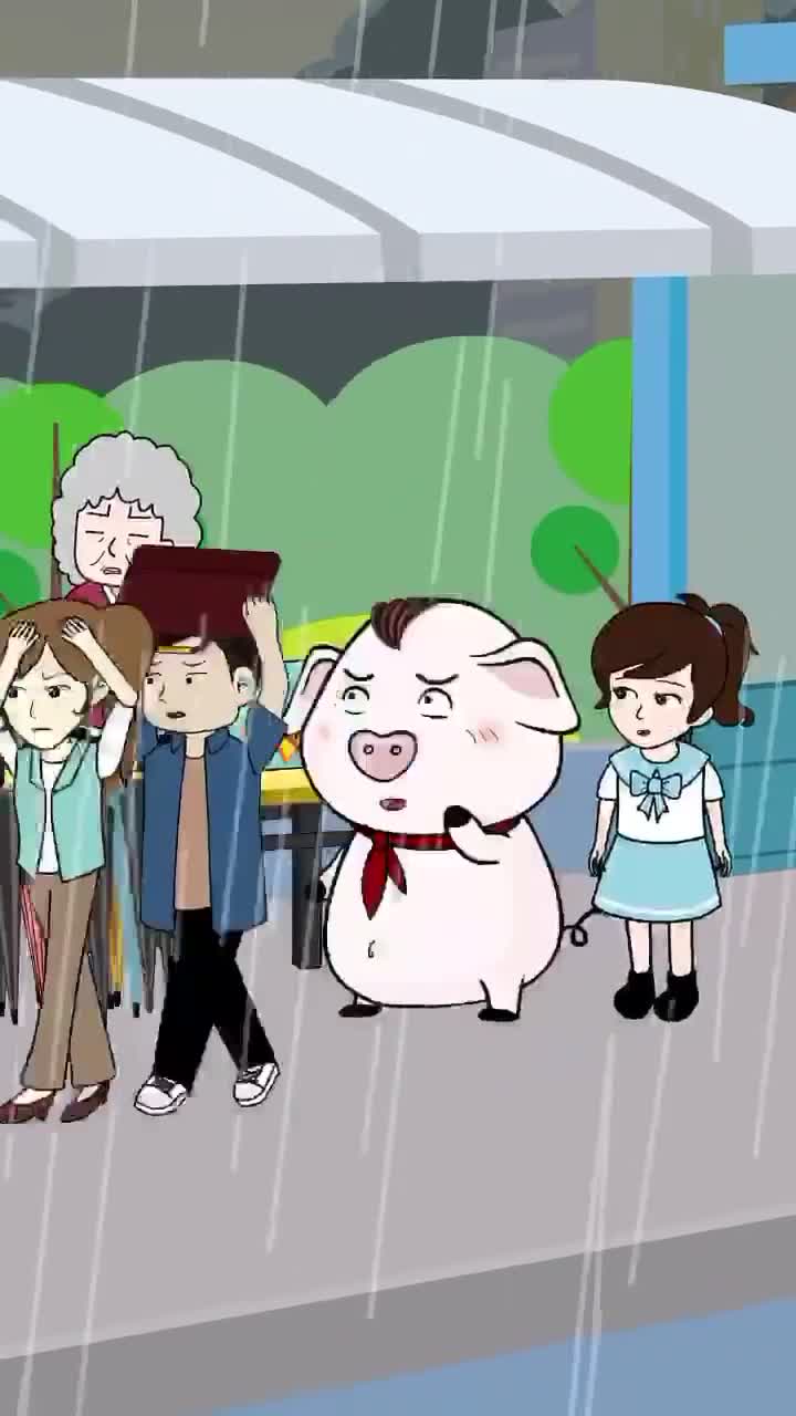 猪屁登粉丝号:屁登变雨伞贩子