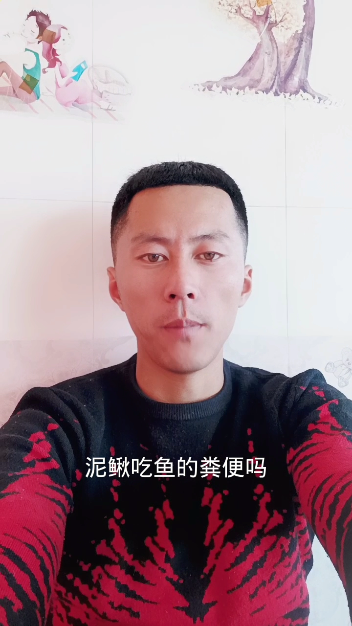 泥鳅吃鱼的粪便吗?