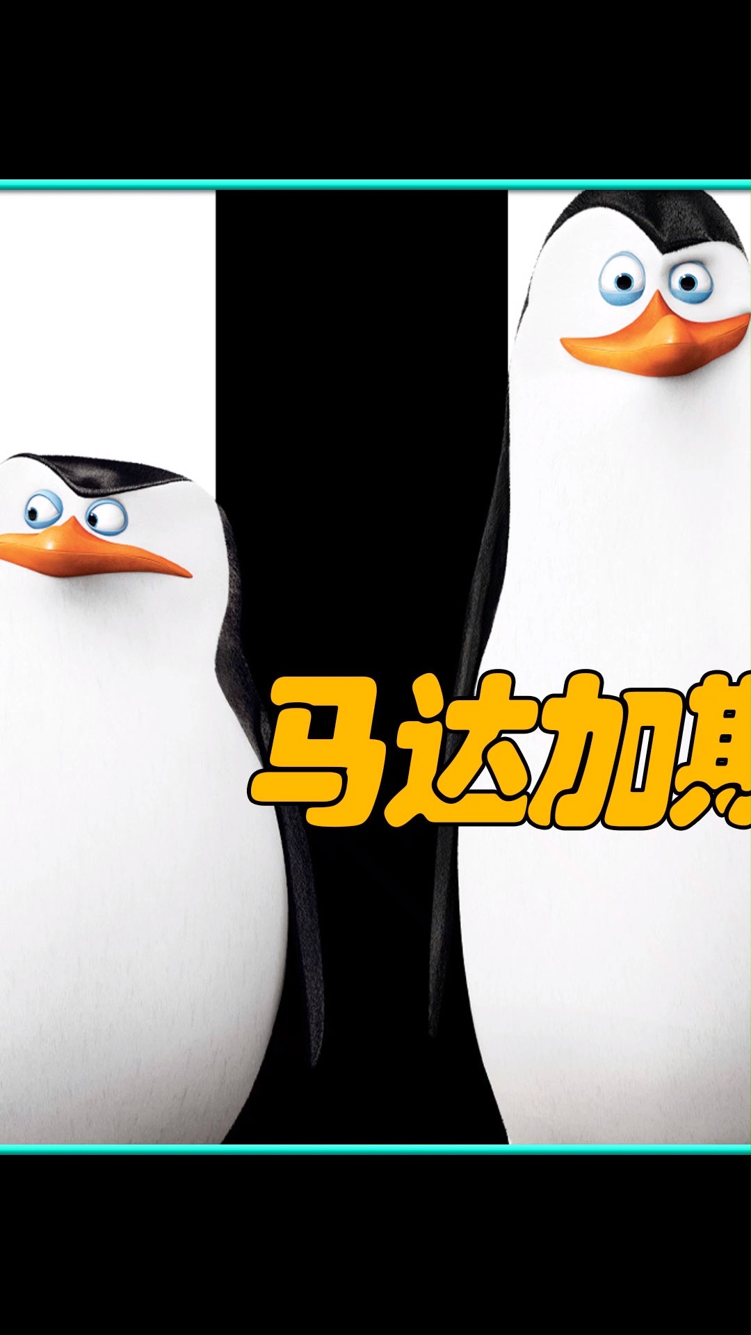 #影视解说#马达加斯加的企鹅