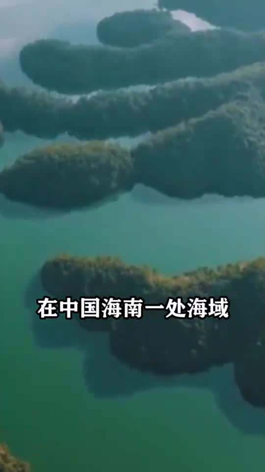 奇闻趣事抢先看震惊海底发现锅碗瓢盆美人鱼真的存在