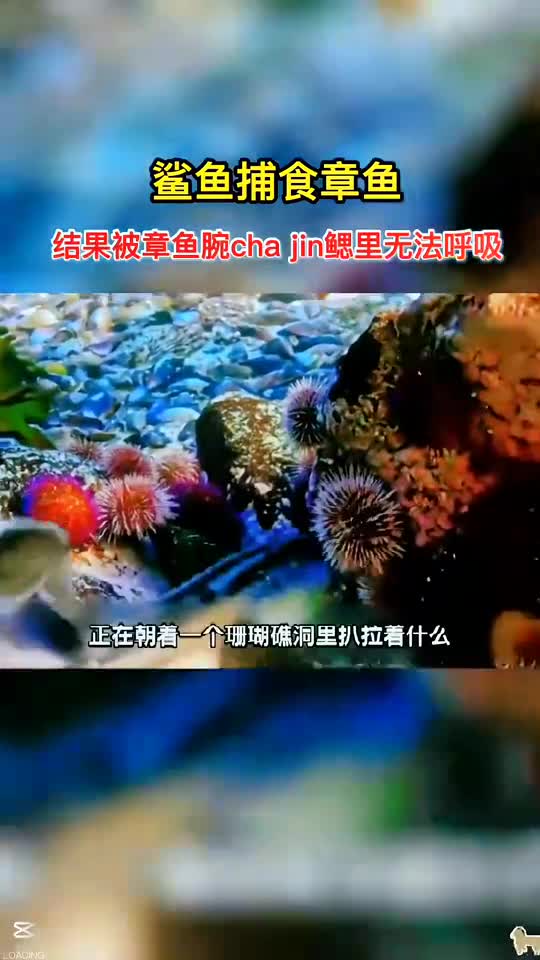 回来复仇被耍