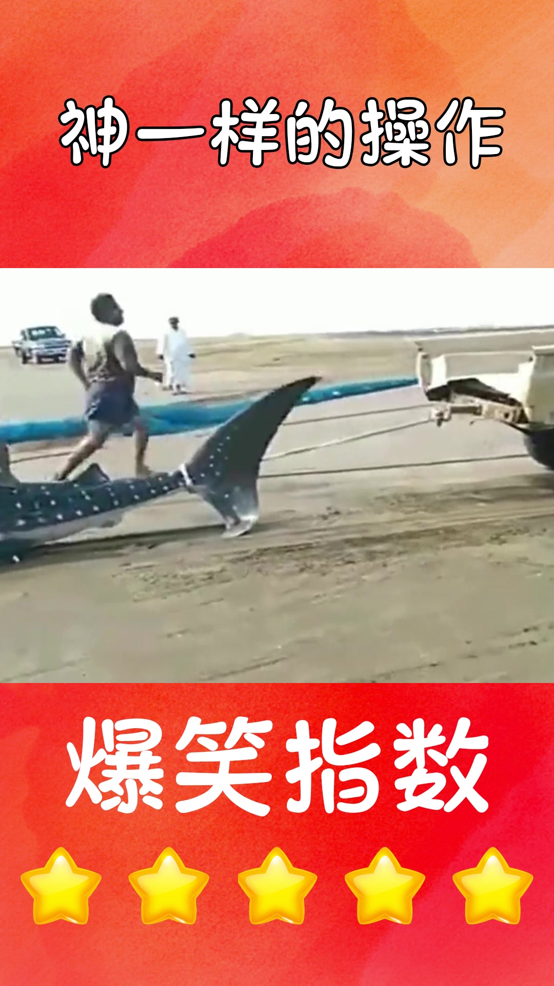 #我要上热门#渔民捕到一条不明鱼类,选择了放生,这鱼大的卡车拉的都有点吃力!