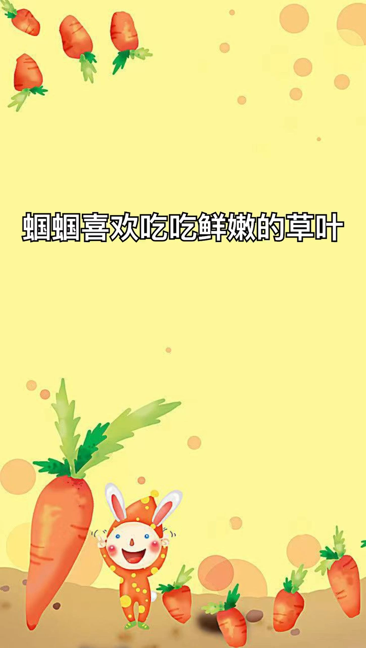 蝈蝈吃什么食物最好