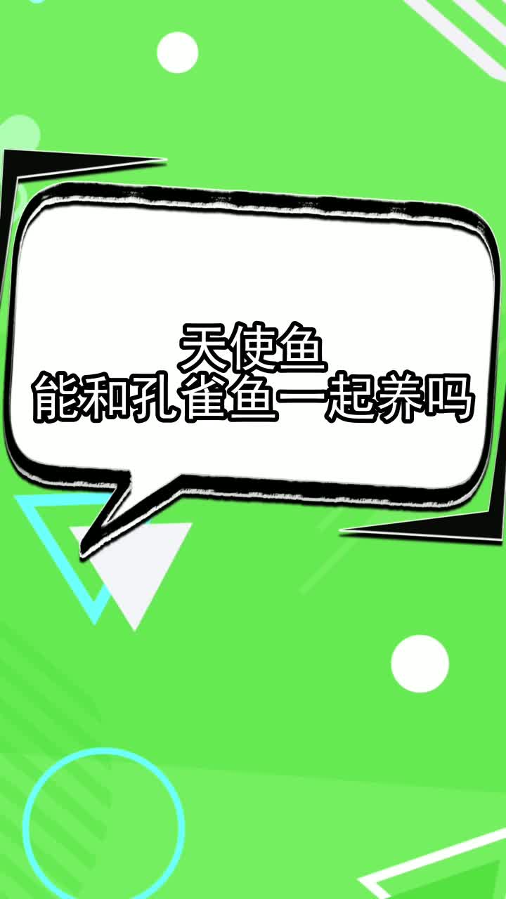 天使鱼能和孔雀鱼一起养吗,你看懂了吗