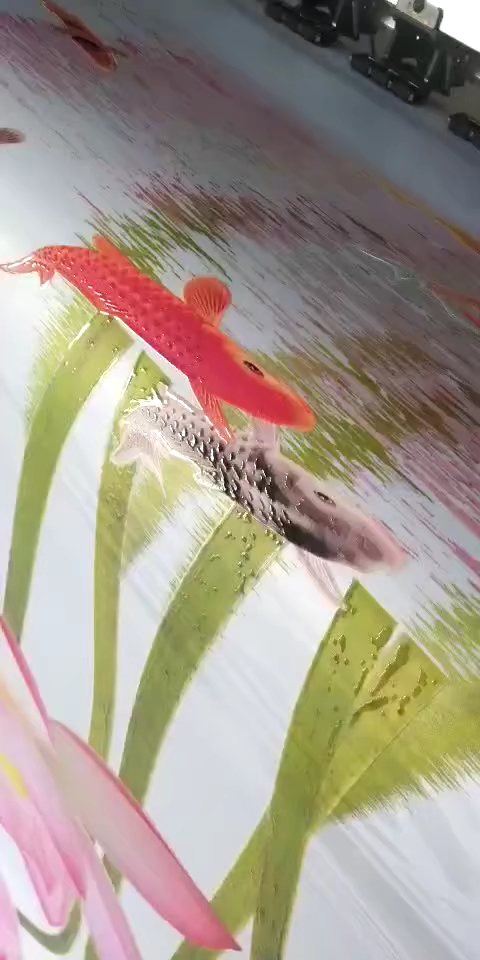 #夏天就要这么过#双鱼无缝墙纸制作中