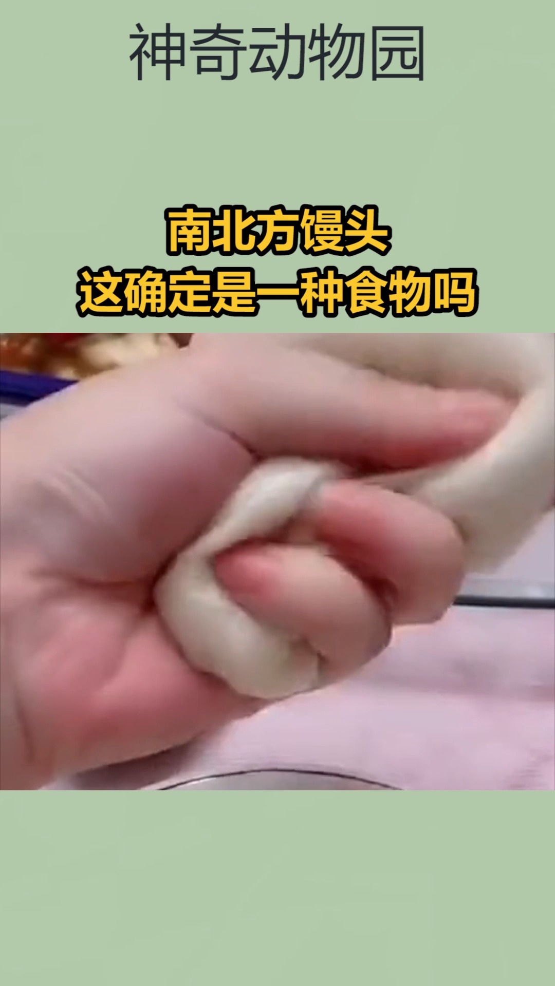 #我要上热门#南北方馒头,这确定是一种食物嘛