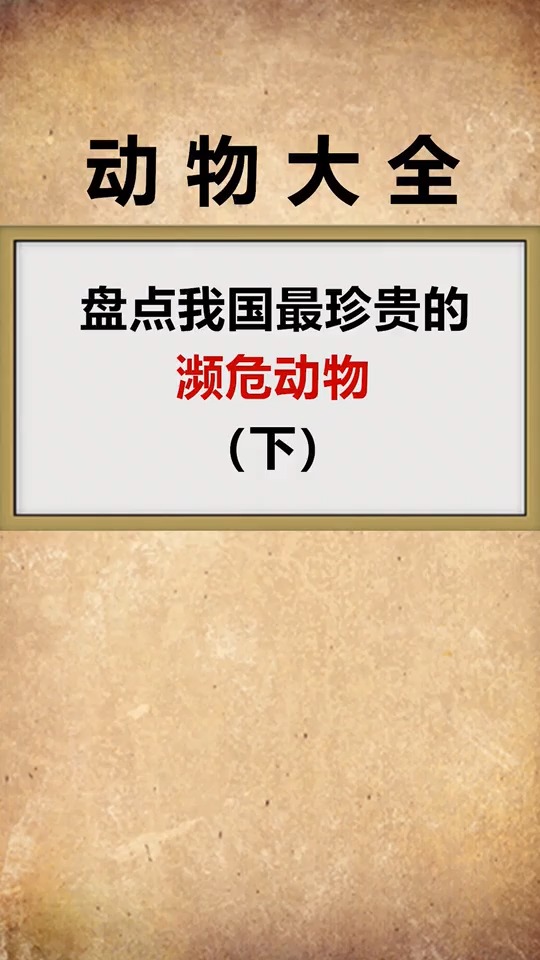 我国最珍惜的动物,你被哪个心疼了
