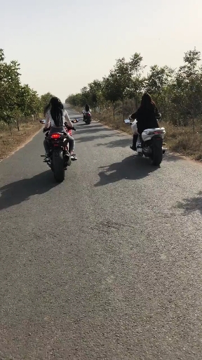 本田大鲨鱼