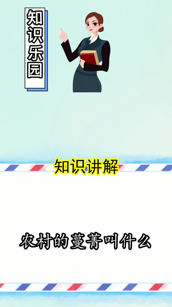 农村的蔓菁叫什么,你明白了吗