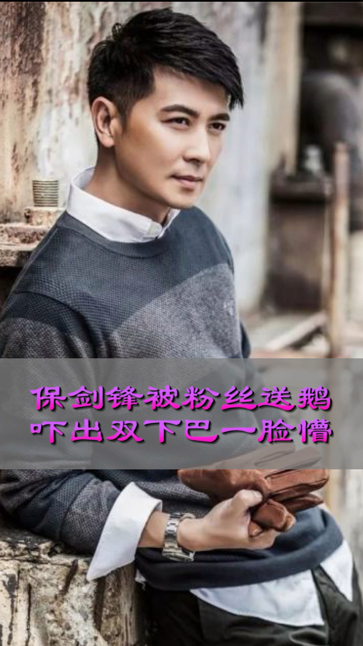 保剑锋被粉丝送鹅上热搜,吓出双下巴一脸懵,沙雕粉丝太难带