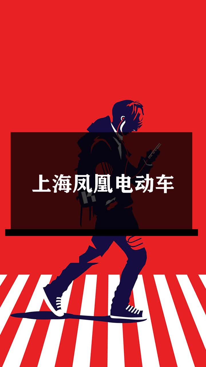 上海凤凰电动车