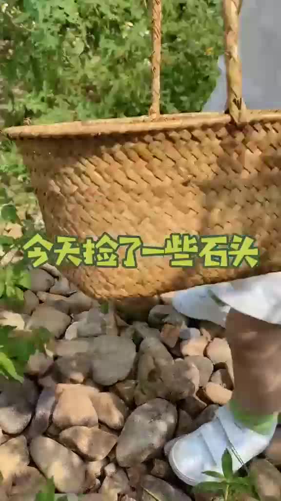 创意石头画,简单又有趣,快去捡石头吧
