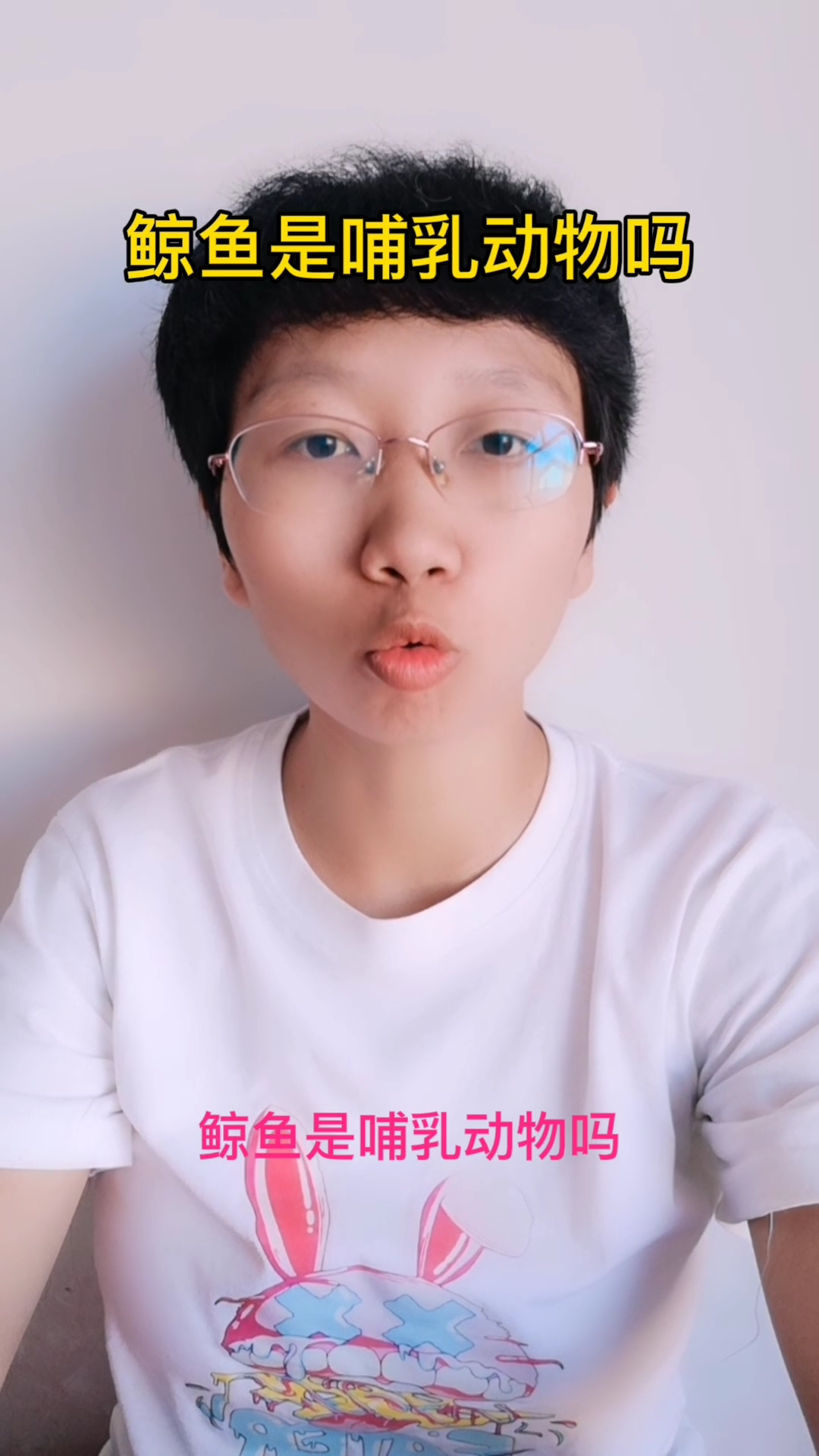 鲸鱼是哺乳动物吗