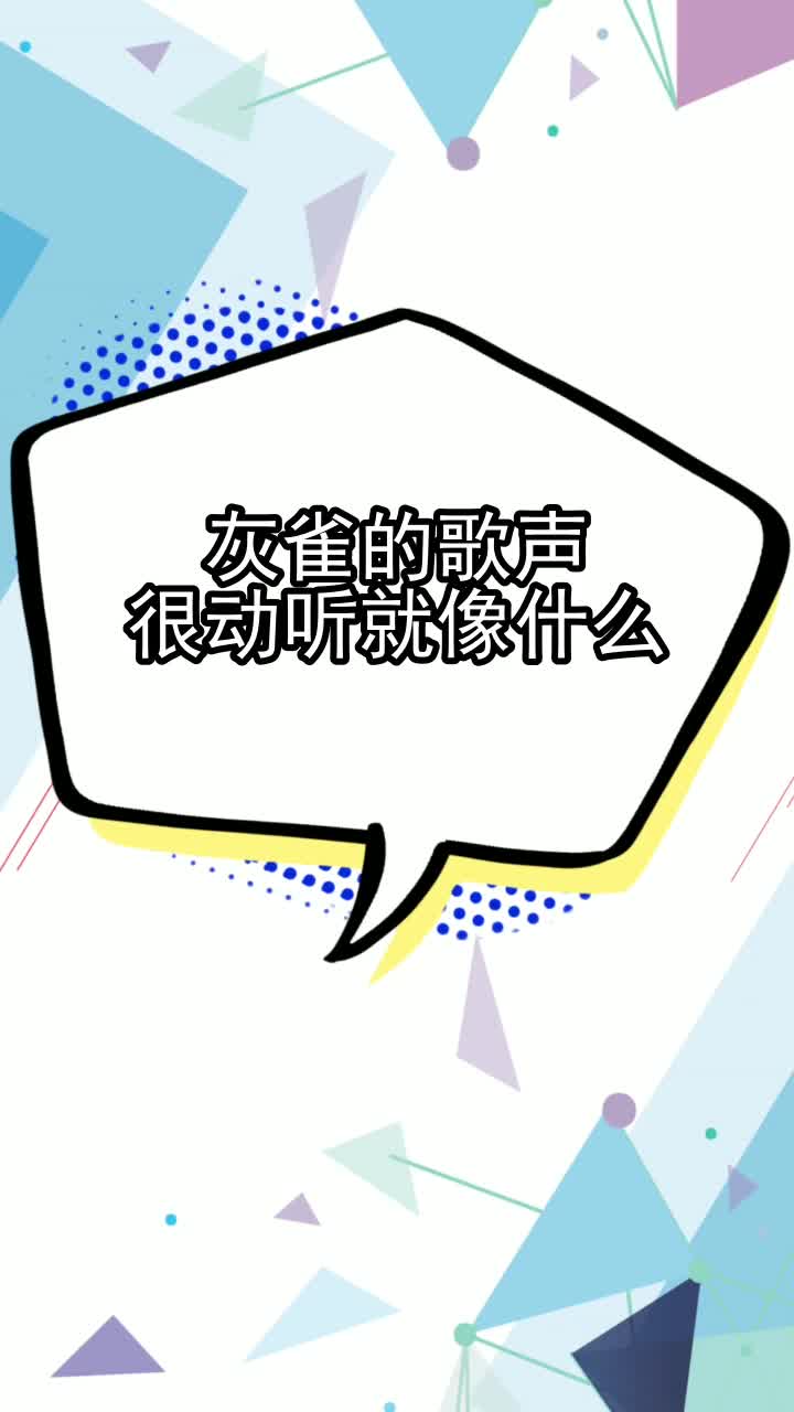 灰雀的歌声很动听就像什么,你了解了吗