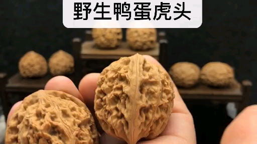 这对野生鸭蛋虎头超级好,尺寸40+品相一流全品无修克重足,姜黄皮质