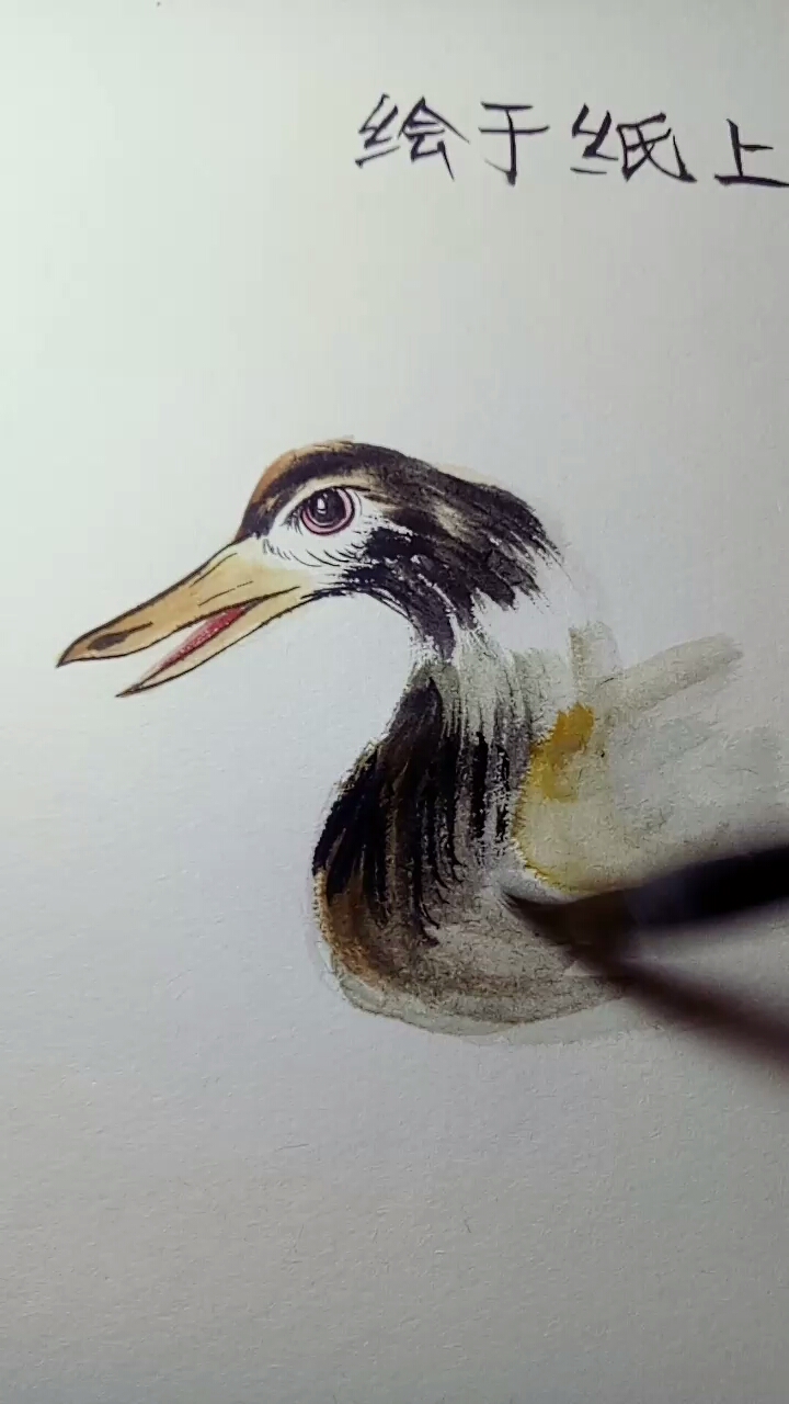 画小鸭子手绘