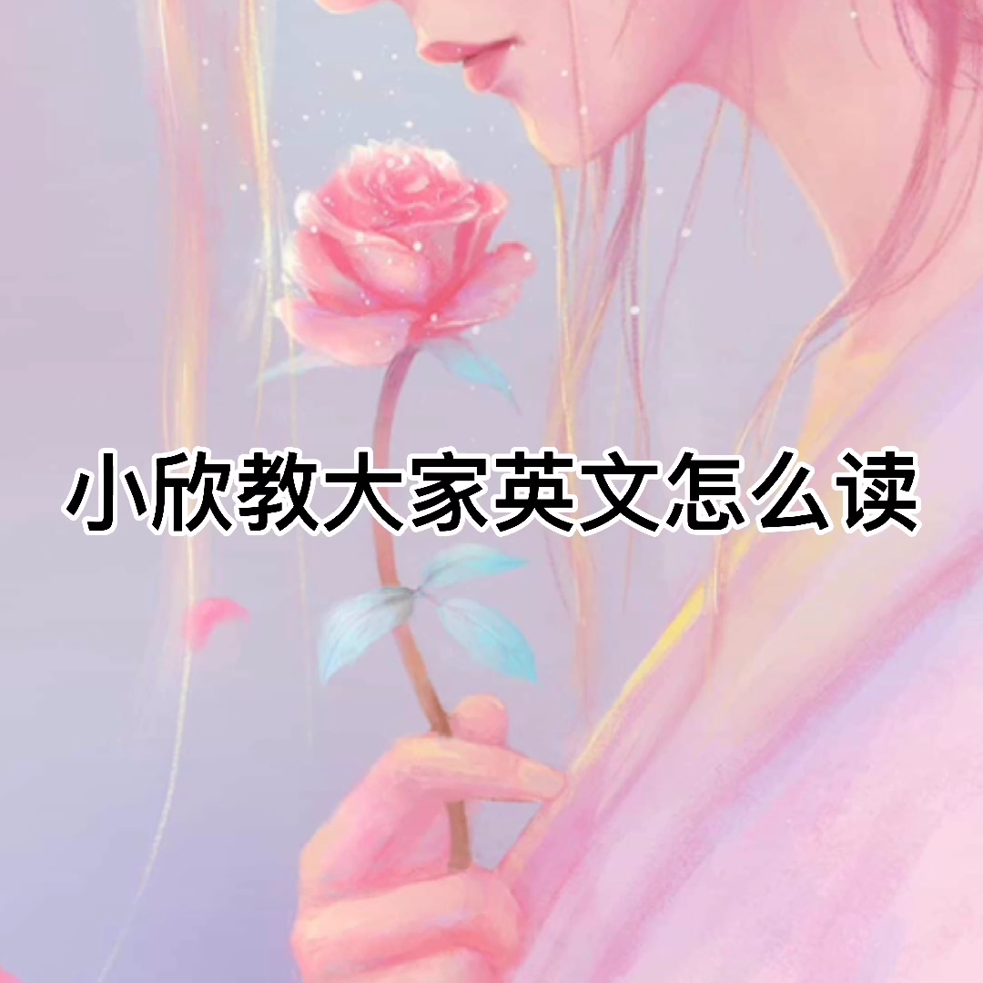 午餐盒英语怎么读