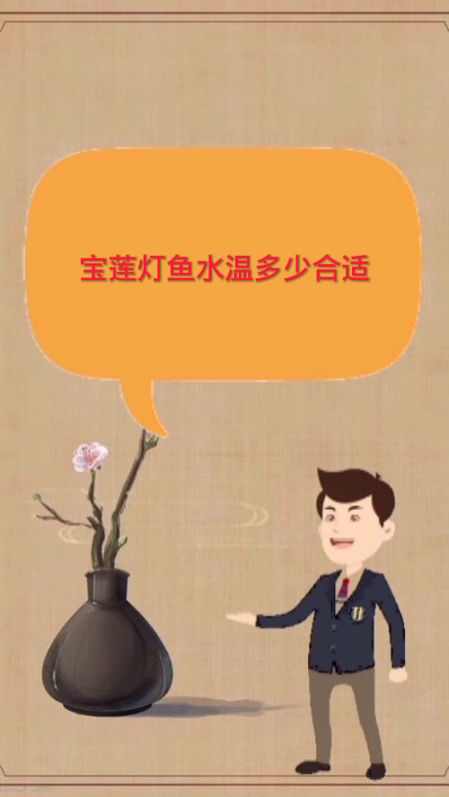 宝莲灯鱼水温多少合适