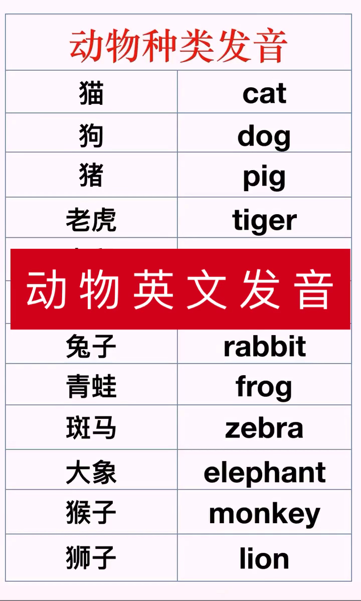 动物单词怎么读!