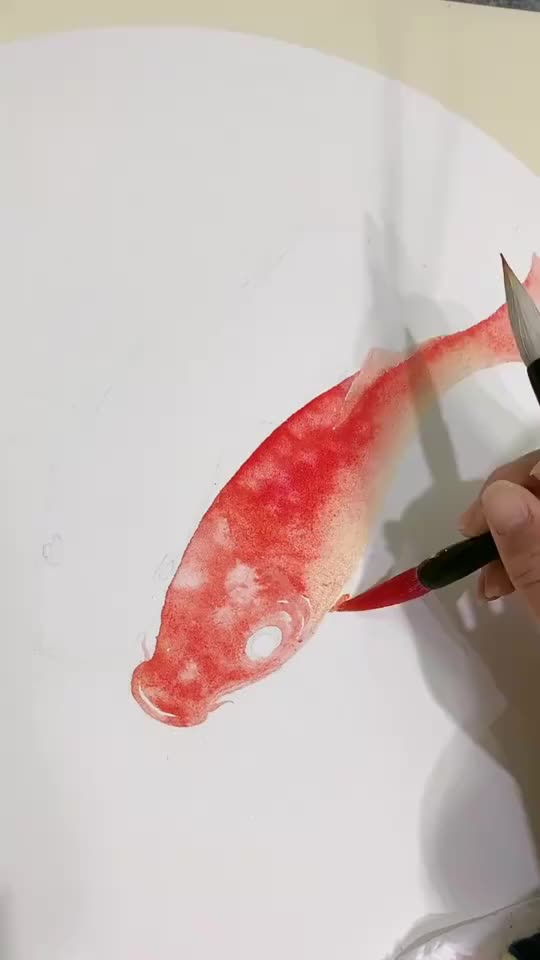 鱼的画法